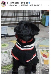 冨永愛のインスタグラム＠ai_tominaga_officialより