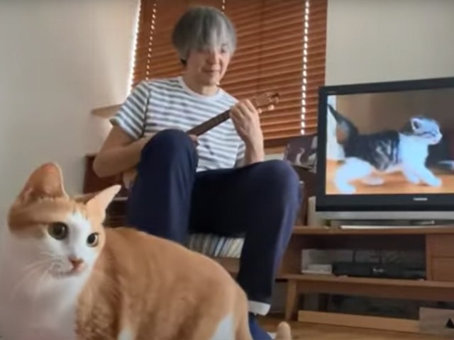 おじキュン＆猫萌え萌え！近藤研二さん、山田稔明さんがトークライブで愛猫と新曲披露