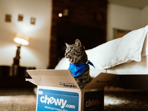 出逢った時、きみは5ヶ月だった。最期のその日まで、元気に育ってね。