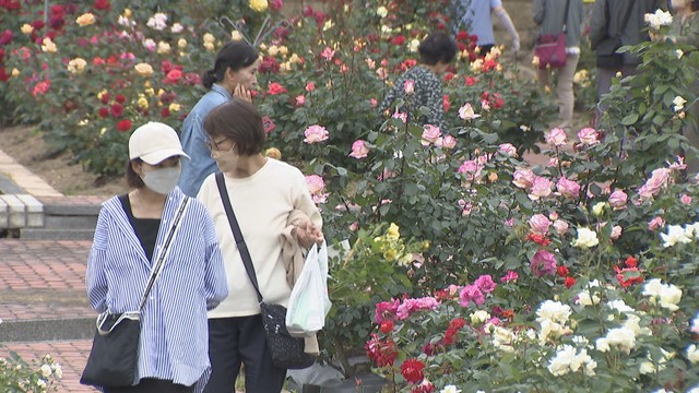 黄色やピンク色とりどり　高松市の公園で1600株のバラが見頃