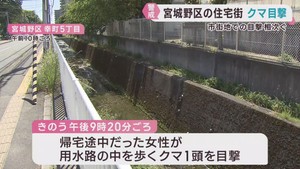 宮城県でクマの目撃が相次ぐ　名取市では箱わなに掛かる