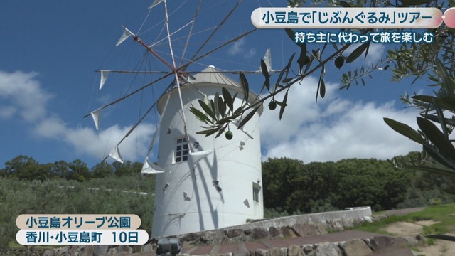 小豆島オリーブ公園　香川・小豆島町　10日