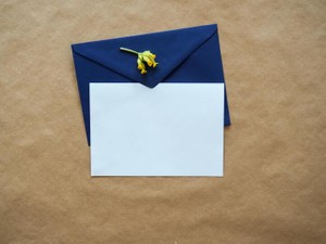 たくさんの手紙を書いていた幼稚園生の私は、今の私にも送っていた