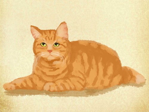 体調を総合的に判断し根本原因に対処　犬・猫の中医学