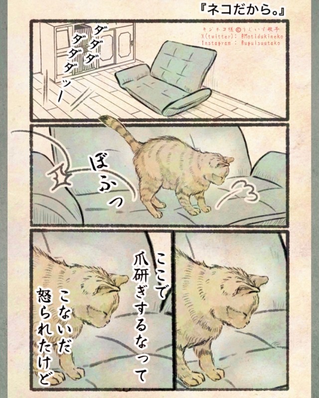 【漫画】『今日もネコ様の圧が強い』16　©Uguisu Utako