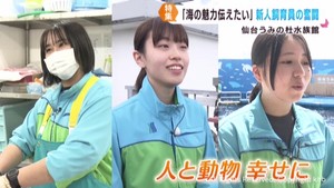「海の魅力を伝えたい」仙台うみの杜水族館　３人の新人飼育員が奮闘
