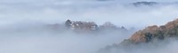 雲海に包まれた「天空の城」備中松山城＝大橋教授撮影（提供：岡山理科大学）
