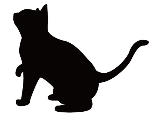 エサやる姿が防犯カメラに　猫２匹殺害の疑いで会社員を逮捕