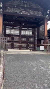 その後、猫は姿を消したとのこと。 ※荒城祥善さんのX動画より抜粋