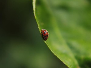 経験した挫折。人生はやりたいことが「できたらラッキー」で丁度いい