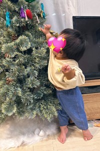 ギリ届かない（画像提供：ことりさん）