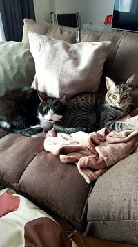 弟分のエピファネイアとは本当の兄弟のように仲良し