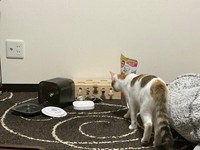 給水機が……（画像提供：セルゥゥゥゥァァァァァさん）