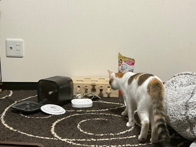 給水機が……（画像提供：セルゥゥゥゥァァァァァさん）