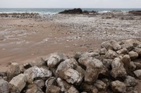 能登半島地震2カ月後の隆起した輪島市の海岸の様子。能登半島各地で海底の隆起が観測されている