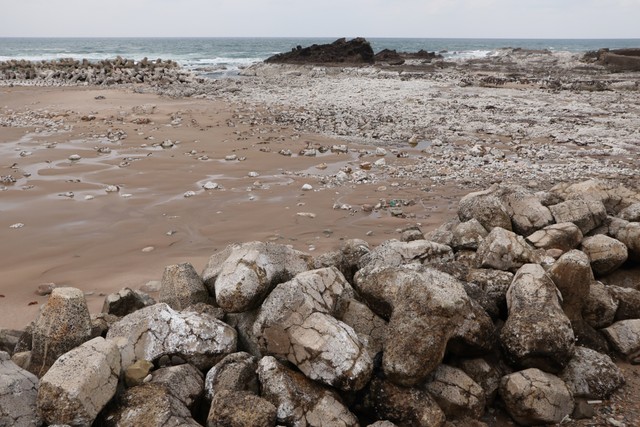 能登半島地震2カ月後の隆起した輪島市の海岸の様子。能登半島各地で海底の隆起が観測されている