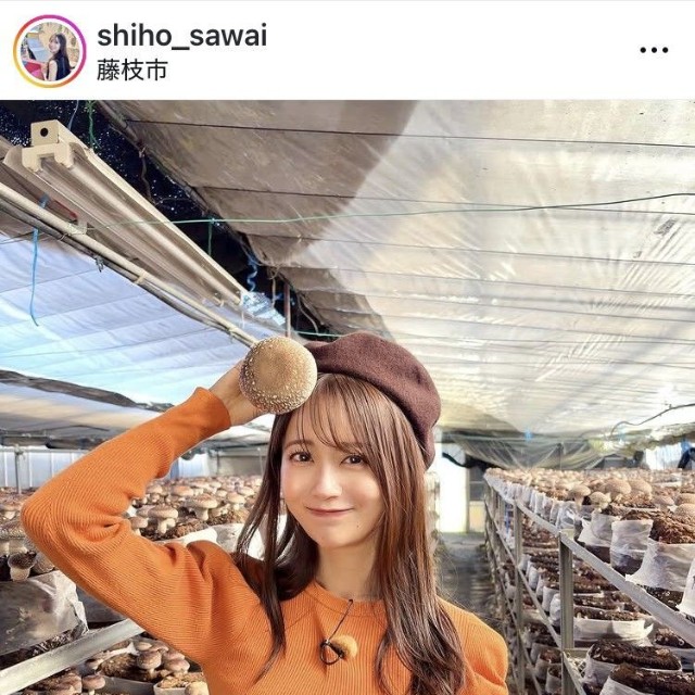 澤井志帆アナウンサーのインスタグラム＠shiho_sawaiより
