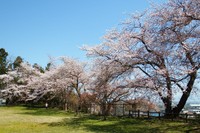 大寺ふれあい公園（山辺町観光協会）