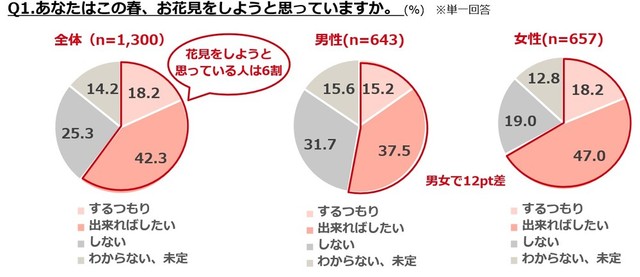 あなたはこの春、お花見をしようと思っていますか？（提供画像）