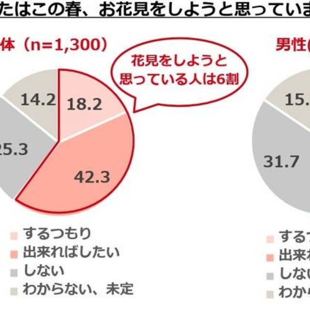 あなたはこの春、お花見をしようと思っていますか？（提供画像）