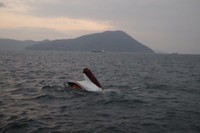 高松市沖で貨物船と衝突し漁船が転覆　行方不明の75歳男性の捜索続く　