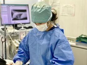 メスの犬や猫がかかりやすい病気　避妊手術で防げることも、獣医師とよく相談を