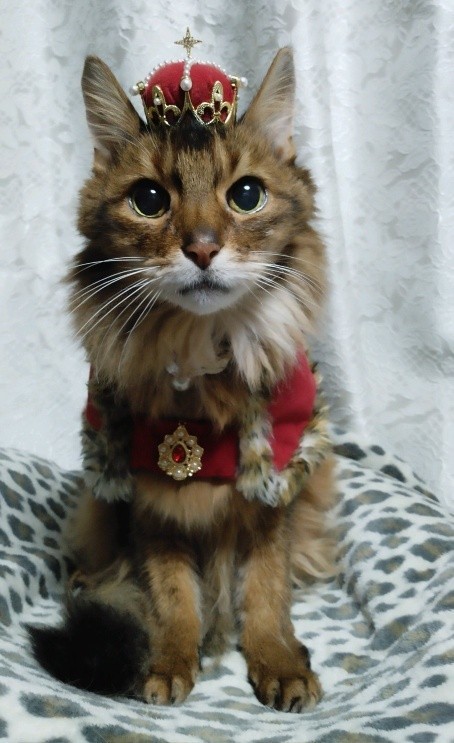 17歳の誕生日を迎えた日