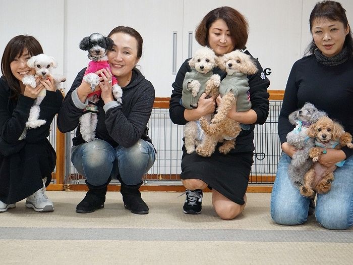 智代さん、良江さん、香苗さん、りえさん「犬が大好き，動物のために何かしたい」この日のランチ代はアンディカフェの善意でアイメイトに寄附された