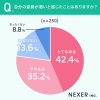 全国の女性250人に聞いた「自分の姿勢が悪いと感じたことがあるか」＝株式会社NEXER・the SILK（ザ シルク）調べ