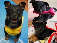 響さんの家に来て間もない頃