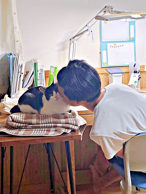 受験勉強中、ひめちゃんに顔をうずめる息子さん（画像提供：こさか養蜂場 宮崎県川南町さん）