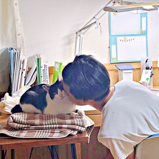 受験勉強中、ひめちゃんに顔をうずめる息子さん（画像提供：こさか養蜂場 宮崎県川南町さん）