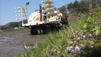 岡山県北で一足早い田植え　田植え機のエンジン音響く