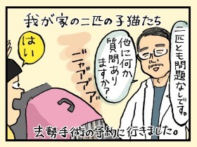 大きい体はワシ譲り!?　やっぱ、猫じゃけぇ(20)
