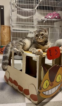 ソラ行きを目指すハナ子ちゃん