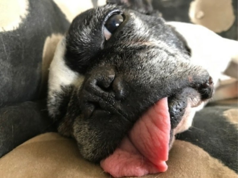 「おなら？してないよ」