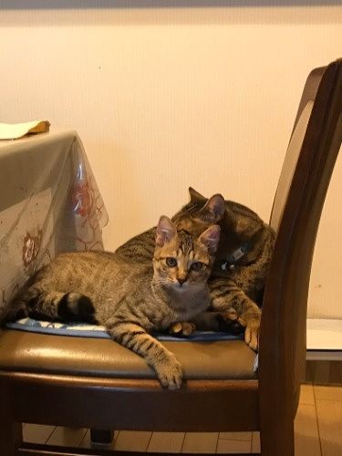 椅子に一緒に乗って（提供写真）