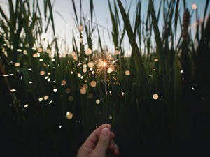 直感を信じて突き進みすぎた私が歩む、思い描いていたものと違う人生