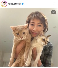 高島礼子インスタグラム＠reico.officialより
