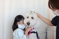 モリスは病院で患者さんから大人気（提供写真）