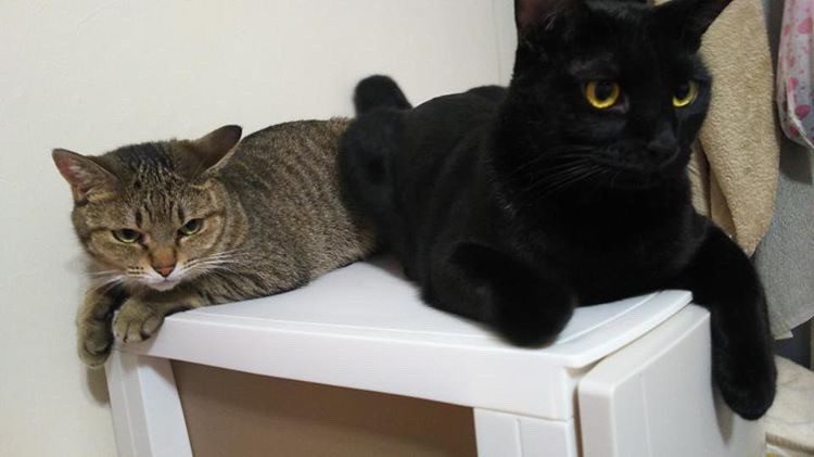 つむぎちゃんとは、いつも一緒