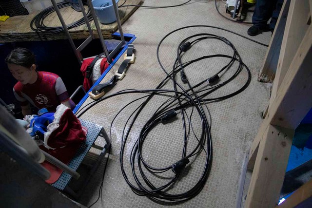 タンクは使わず、水槽の上にあるコンプレッサーで圧縮した空気を長いホースでレギュレーターに送る