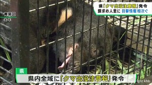 クマの目撃情報相次ぐ　宮城県がクマ注意報を発令