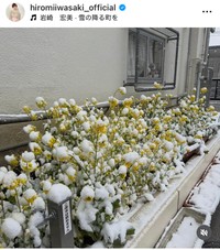 岩崎宏美インスタグラム＠hiromiiwasaki_officialより