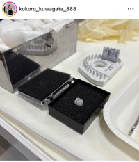 くわがた心インスタグラム＠kokoro_kuwagata_888より