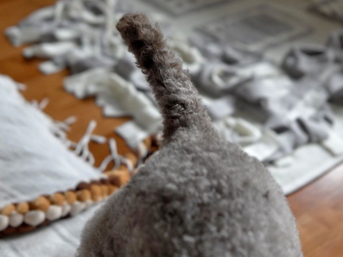 「変わっていく僕を見守ってほしいな～」