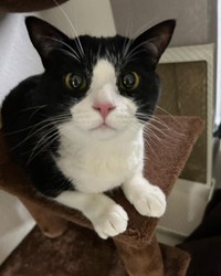 まん丸お目目だよ！