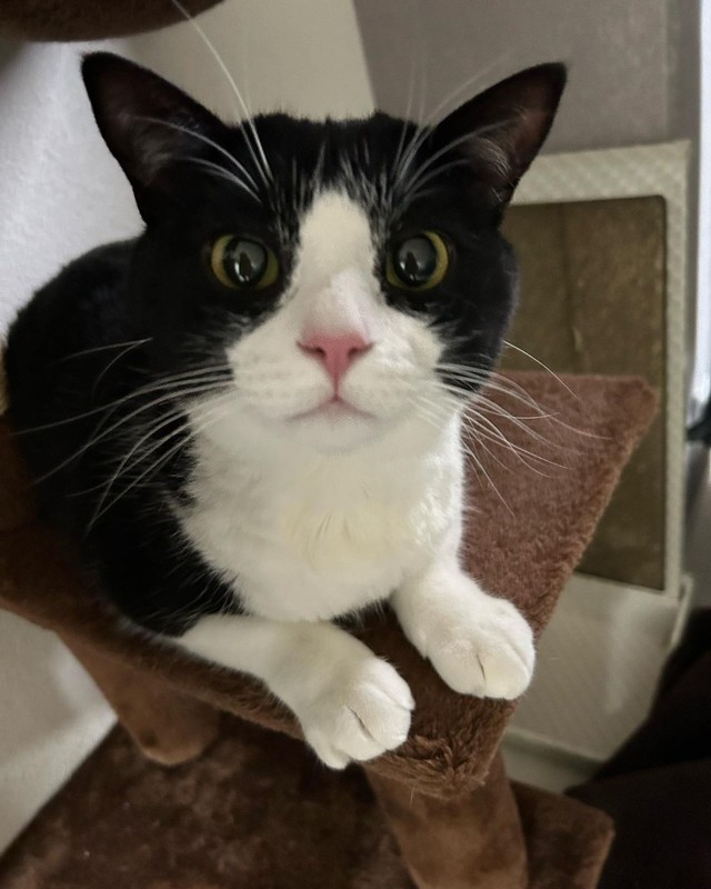 まん丸お目目だよ！