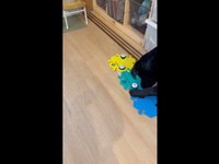 「パパ！」とボタンを押したうぶちゃん（画像提供：うぶ UBU ラブラドールレトリバーさん）