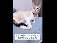 成長にともない、鳴き声に変化が現れたおくらちゃん（画像提供：soranohiさん）